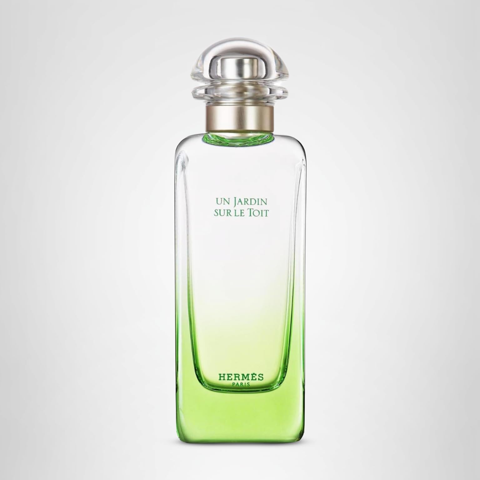 Amazon.co.jp: エルメス 屋根の上の庭 EDT 100ml [並行輸入品
